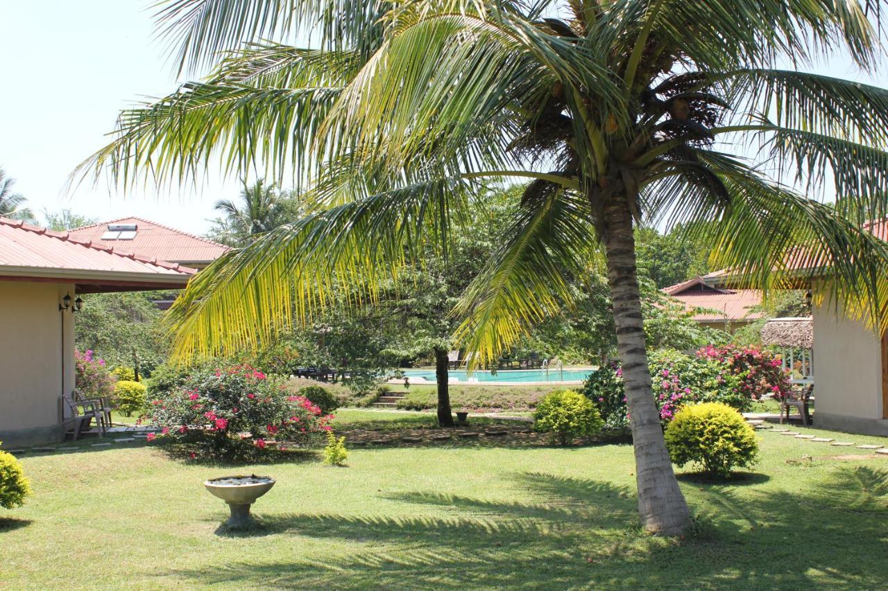 Hibiscus Garden Hotel Tissamaharama Exterior foto