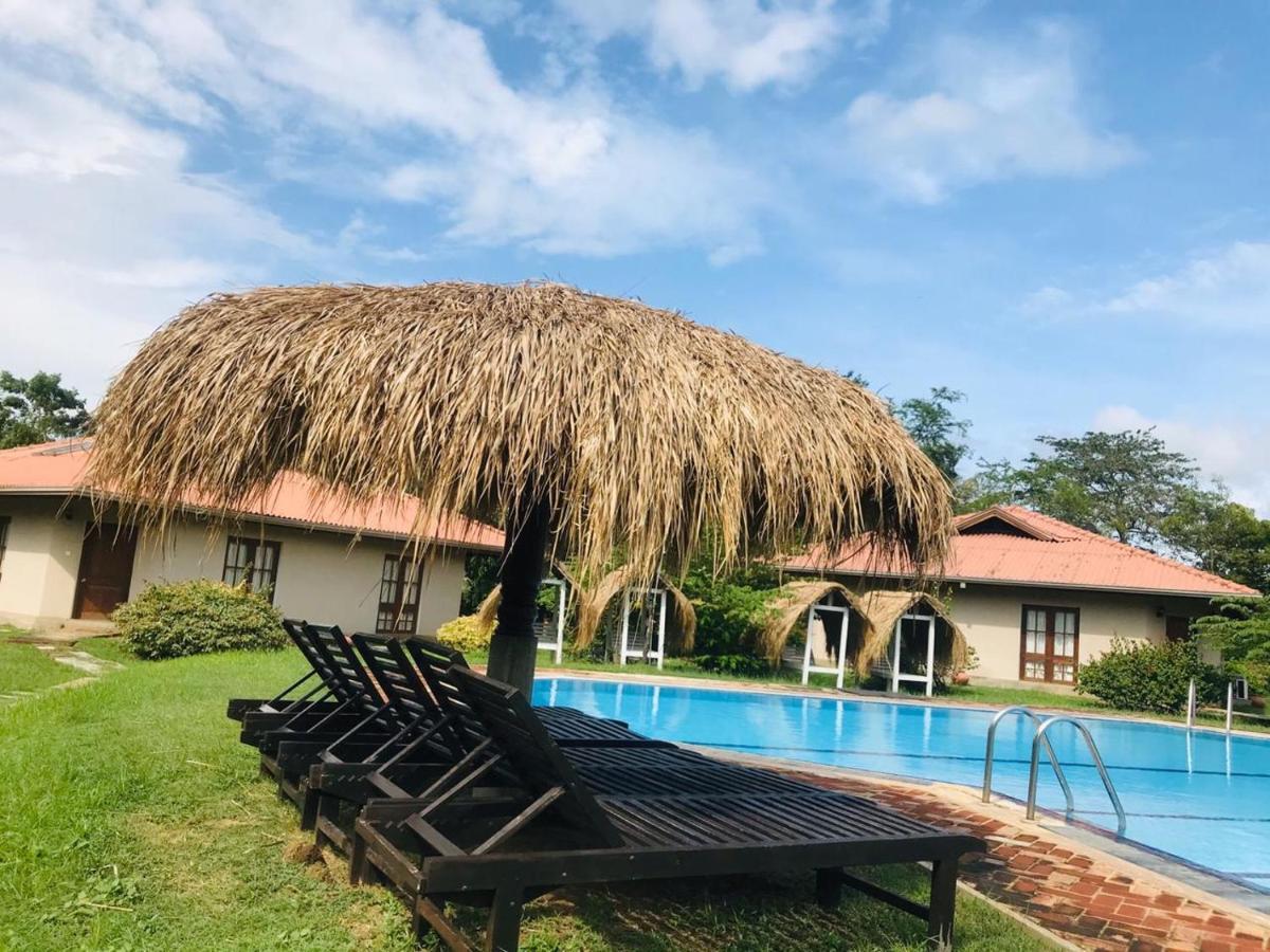 Hibiscus Garden Hotel Tissamaharama Exterior foto